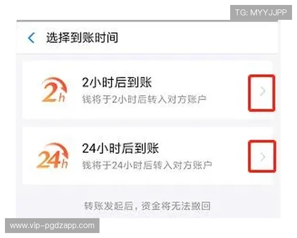 PG电子备用平台多渠道支持用户快速登录与资金转账操作便捷性显著增强