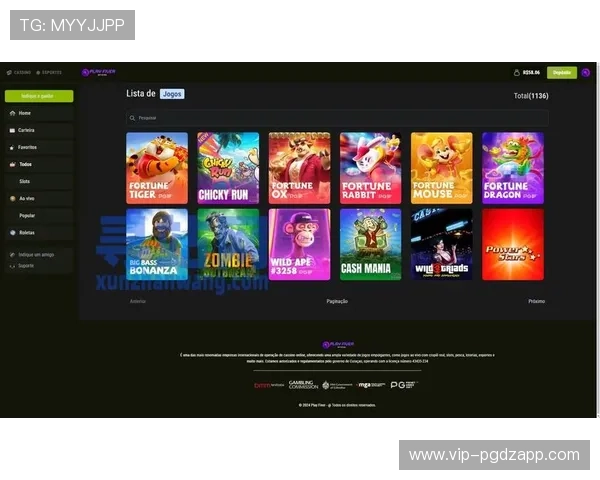 南宫国际PG娱乐电子游戏网站的技术支持与安全措施，确保玩家在任何时间都能顺畅游戏无忧